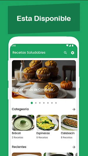 Recetas Saludables Online Screenshot 0