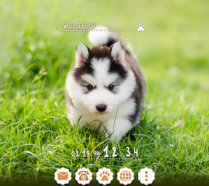 Siberian Husky Pup Theme Screenshot 0