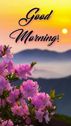 Good Morning Flowers Screenshot 3