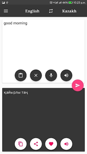 Kazakh-English Translator Screenshot 2