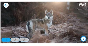 Fancy Animals Screenshot 1