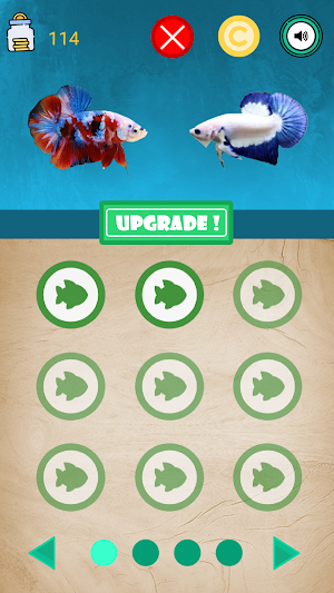 Betta Fish Seller Screenshot 0
