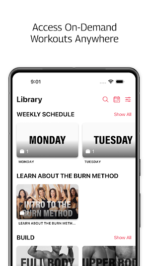 BURN & BUILD Screenshot 2