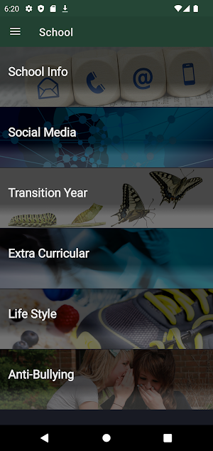St Mary’s Sec Sch New Ross Screenshot 2