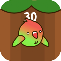 Cute Bird