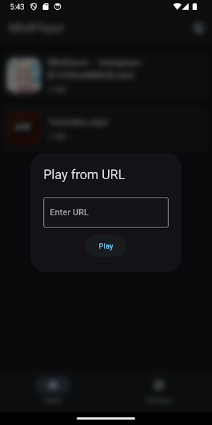 MhdPlayer Screenshot 1