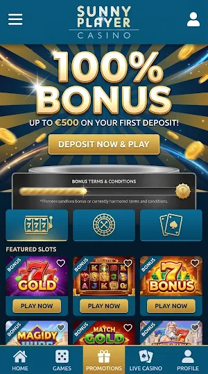 Sunnyplayer Screenshot 0