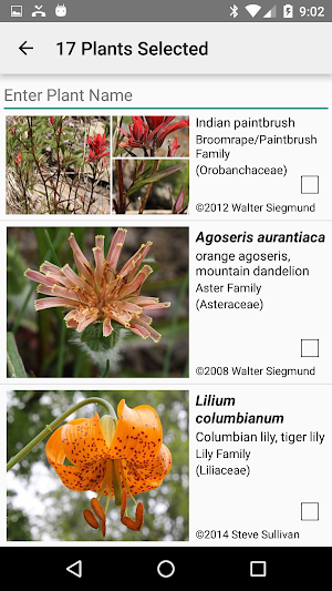 Mt Rainier Wildflowers Screenshot 2