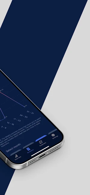 Little Savings Screenshot 1