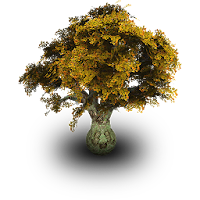Burundi Tree Species Finder