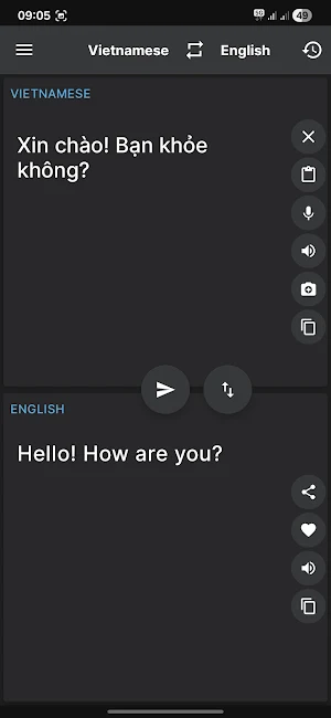 Dịch Việt Anh Screenshot 2