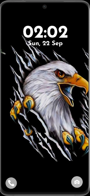 Eagle HD Wallpaper Screenshot 2