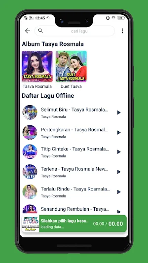 Mp3 Tasya Rosmala New Pallapa Screenshot 1