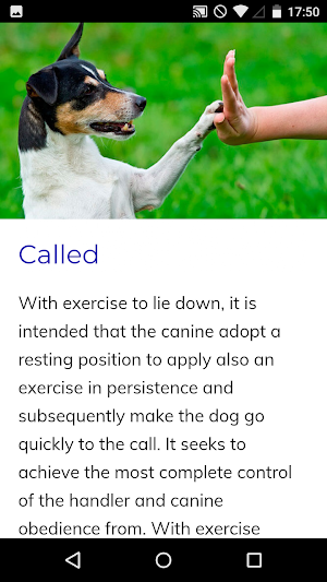 Canine Training Course Screenshot 3