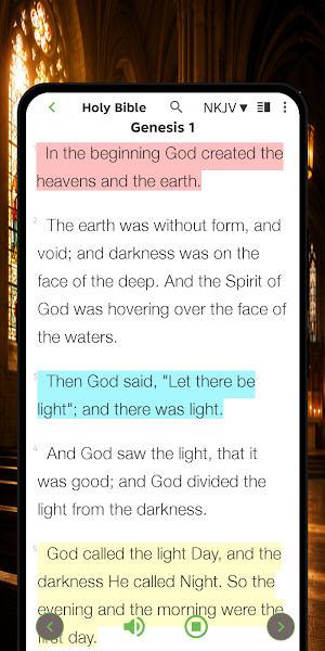 NKJV Bible - Offline app Screenshot 1