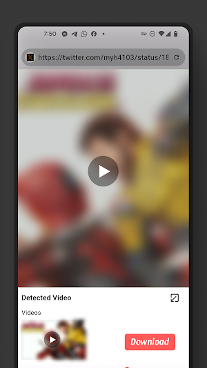 Video Browser Screenshot 3