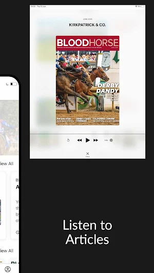 BloodHorse Magazine Screenshot 2