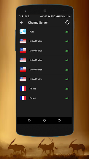 Oryx VPN - Fast and Reliable Screenshot 3