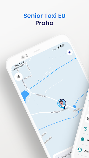 Senior Taxi EU Screenshot 0