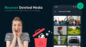 Recover Deleted Messages WAMR Screenshot 1