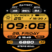 OMG 348 Digital Watch Face