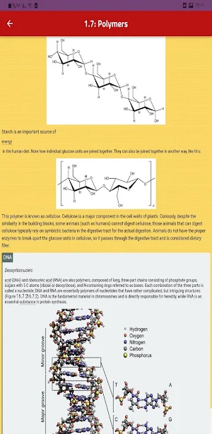 Organic Chemistry Screenshot 3