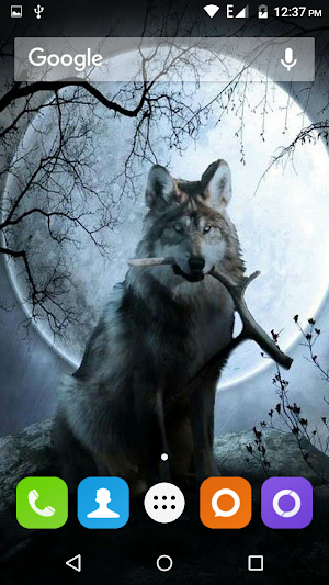 Wolf Hd Wallpaper Screenshot 3