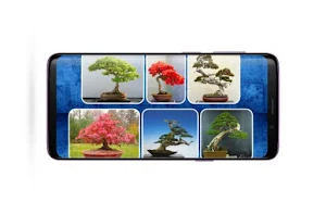 Bonsai Design Inspiration Screenshot 3