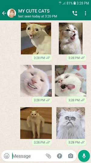 WASticker: Cat Stickers Screenshot 1