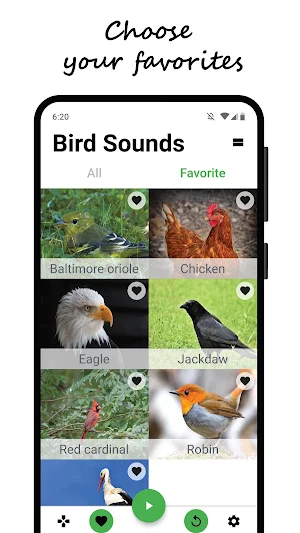 Bird sounds Screenshot 3