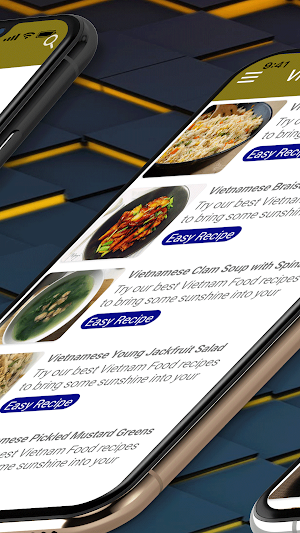 Vietnamese Recipes Screenshot 2