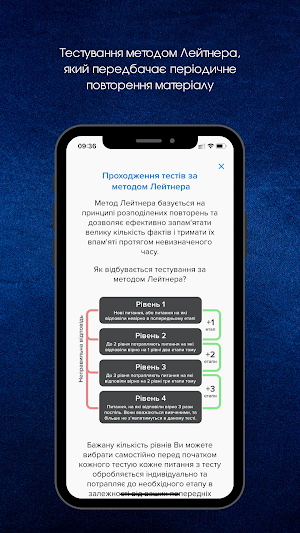 Driving rules Screenshot 2