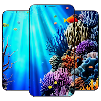 Coral Under the Sea Wallpaper