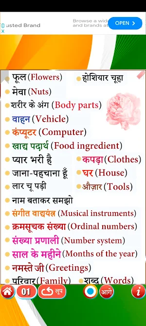 Learn Hindi Level 2 Screenshot 1