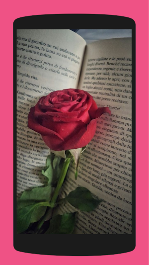 Aesthetic Roses Wallpaper 4K Screenshot 2