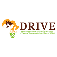Drive