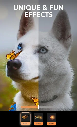 Enlight Pixaloop - Photo Animator & Photo Editor screenshot 6