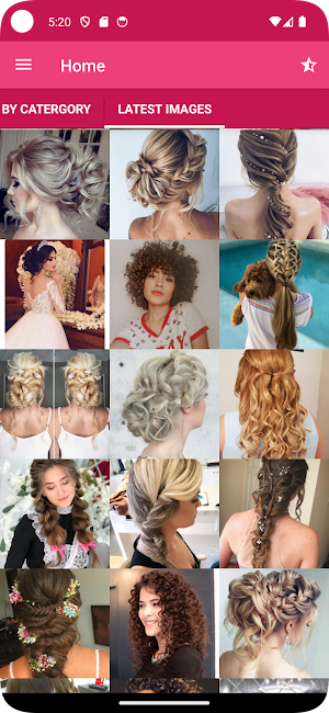Wedding Hairstyle Step By Step Screenshot 3