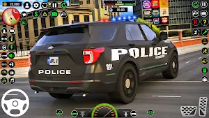Police Chase Car 3d Simulator Screenshot 3