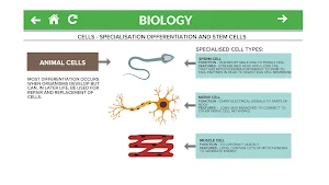 Biology GCSE Screenshot 2