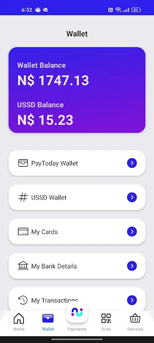 PayToday Mobile Screenshot 1