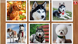 Dogs Puzzles for Kids & Adults. Free jigsaw game! Screenshot 3
