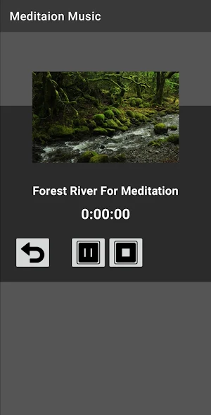 Meditation Music : Offline Screenshot 2