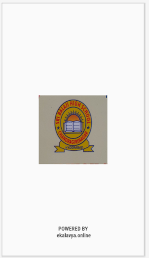 Sri Balaji High School Screenshot 3