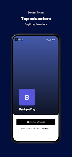Bridgewhy Screenshot 2