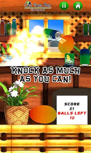 Can Toss Fun - Hit & Smash 3D Screenshot 1