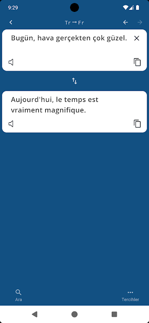 Fransızca Türkçe Sözlük Screenshot 3