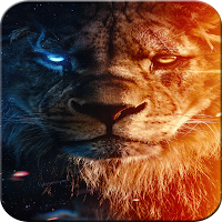 Lion Wallpaper HD