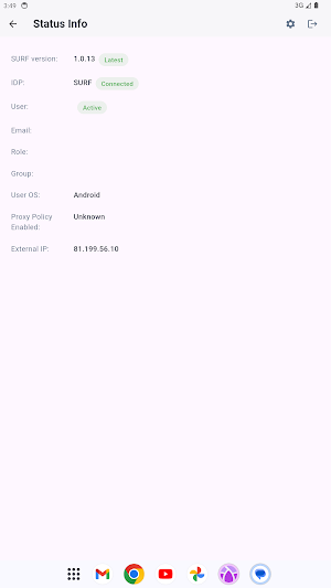 Checkpoint Enterprise Browser Screenshot 2