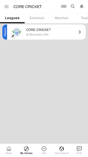 CORE CRICKET Screenshot 2